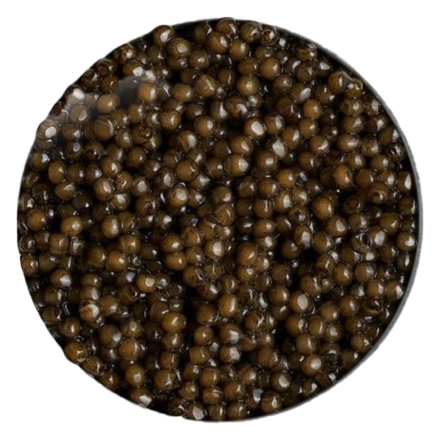 Siberian Osetra Caviar