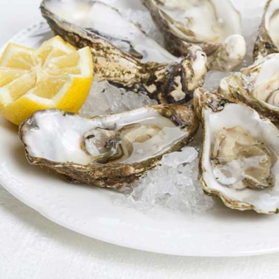 Fresh Oysters – Dozen