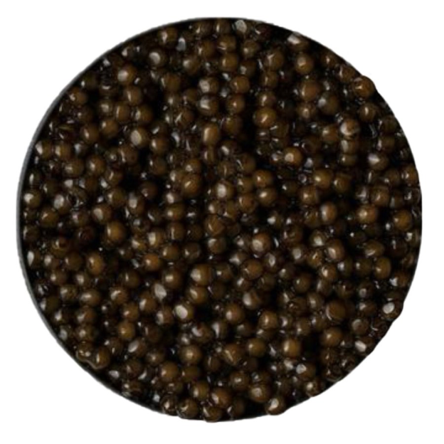 White Sturgeon Royale Caviar