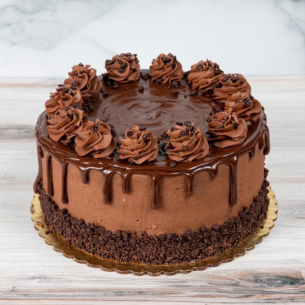 Chocolate Cake